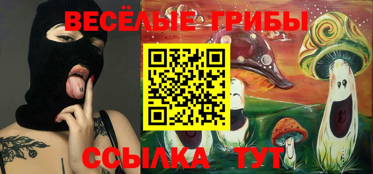 Галлюциногенные грибы Cubensis Сызрань