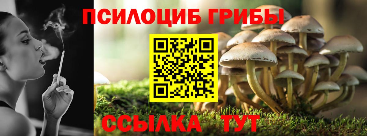 Сызрань  Галлюциногенные грибы Psilocybe  Вход с VPN 